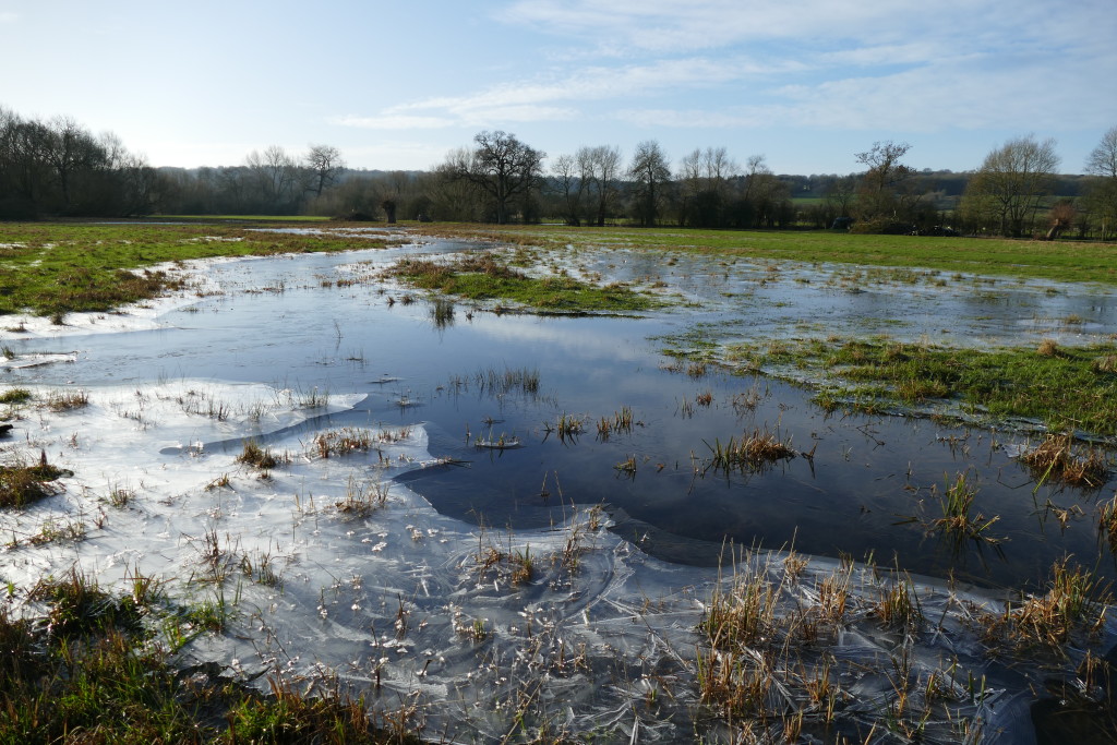 Der Weg führt über diese Wiese