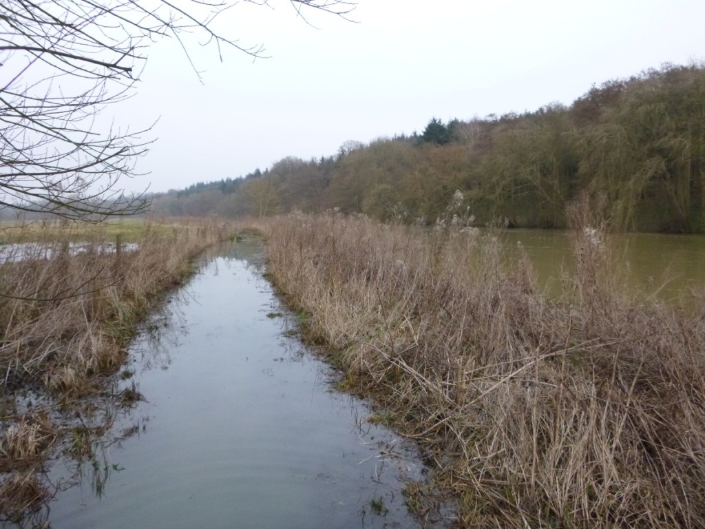 Der Thames Path